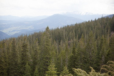 Similar image 13028365