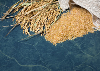 Similar image 13027667