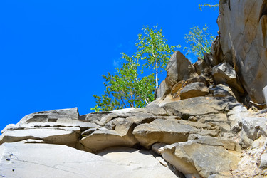 Similar image 13045627