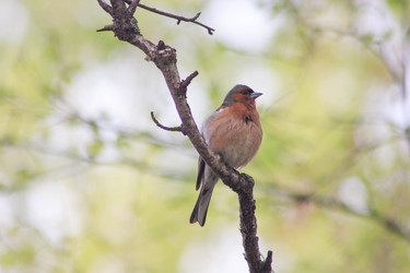 Similar image 13060814