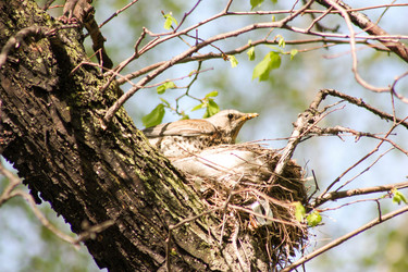 Similar image 13060815