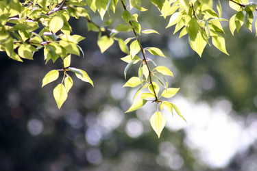 Similar image 13060816