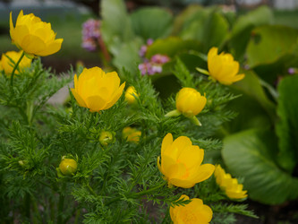 Similar image 13027632