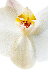 Similar image 13028196