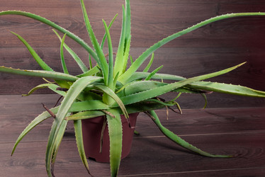 Similar image 13027673