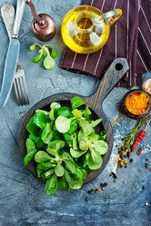 Similar image 13027836