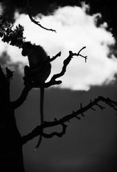 Similar image 13032172