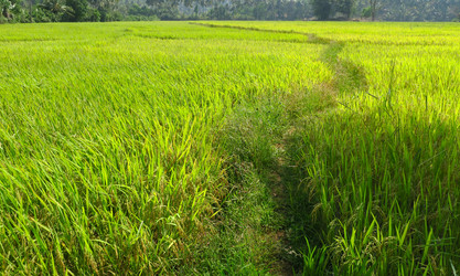 Similar image 13027641