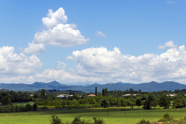 Similar image 13028557