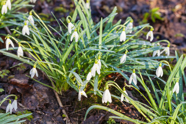 Similar image 13059492