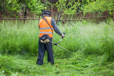 Similar image 13062192