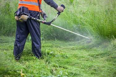 Similar image 13062193