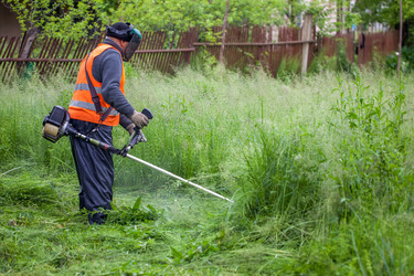 Similar image 13062195