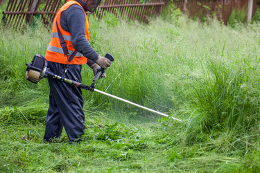 Similar image 13062197