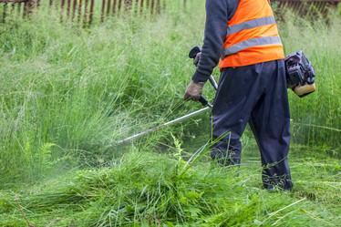 Similar image 13061749