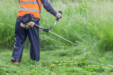 Similar image 13061753