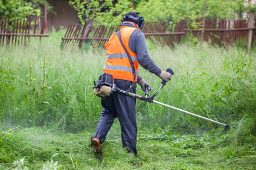 Similar image 13061754