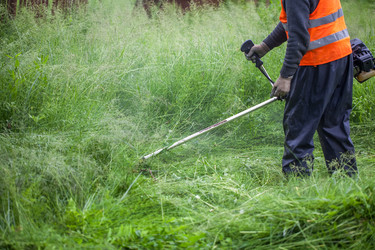 Similar image 13061755