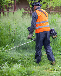 Similar image 13061767