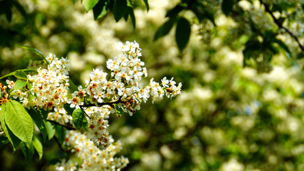 Similar image 13027643