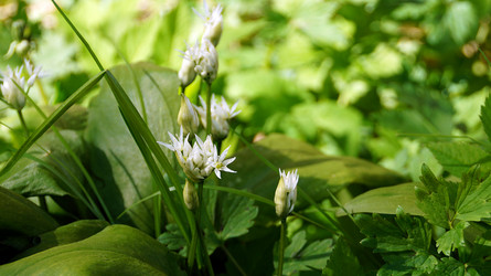 Similar image 13027644