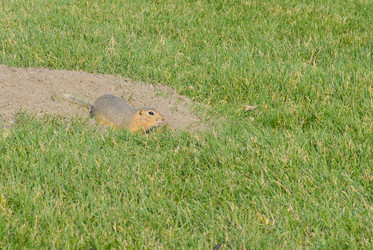 Similar image 13041695