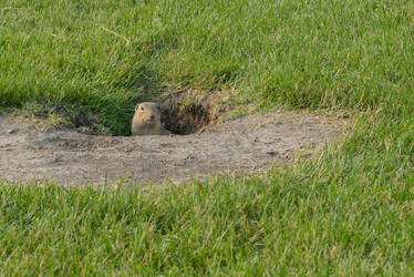 Similar image 13041696