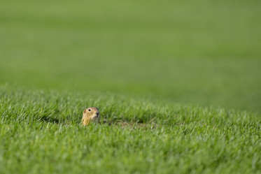 Similar image 13041697