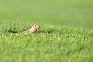 Similar image 13041718