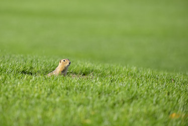 Similar image 13041719