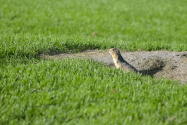 Similar image 13041720