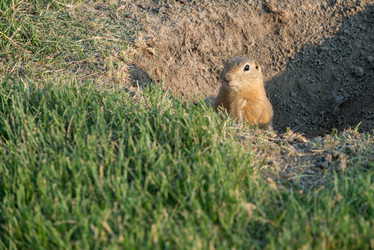 Similar image 13041721