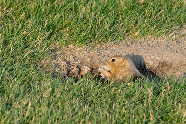 Similar image 13041722