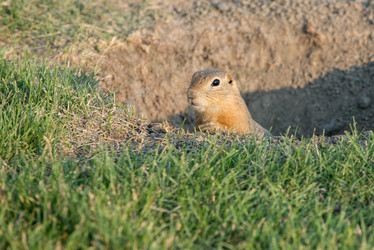 Similar image 13041723