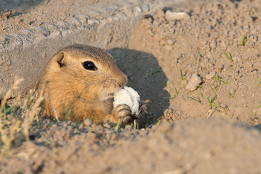 Similar image 13041724