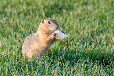 Similar image 13041727