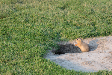 Similar image 13041728