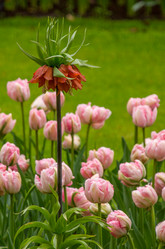 Similar image 13041729