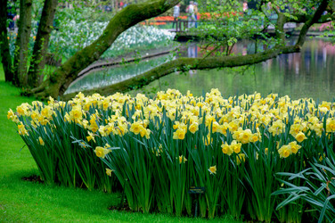 Similar image 13041731