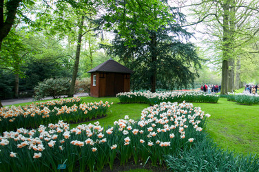 Similar image 13041732