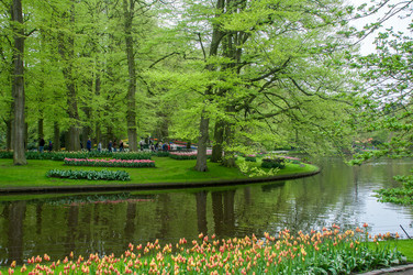 Similar image 13041733