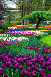 Similar image 13041734