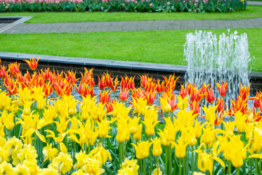 Similar image 13041739