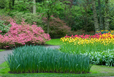 Similar image 13041741