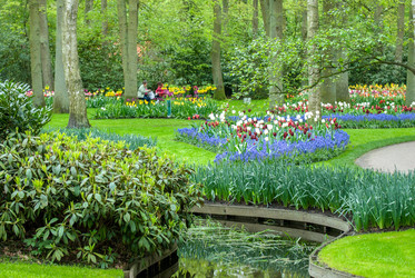 Similar image 13041742