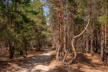 Similar image 13041678