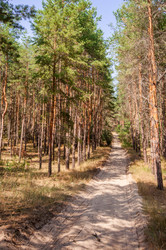 Similar image 13041679