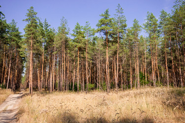 Similar image 13041682