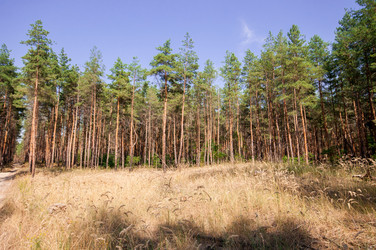 Similar image 13041683