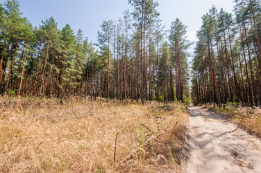 Similar image 13041684